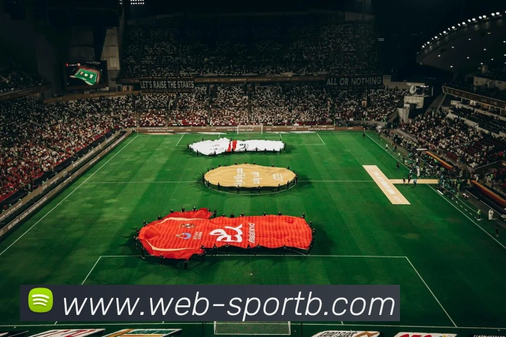 B体育APP 封面图